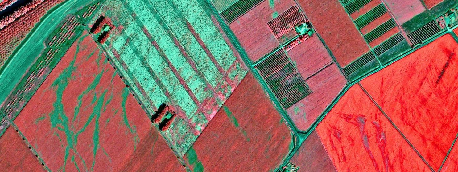 sagostinosummer1_copertina (3)