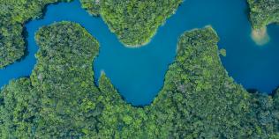 HAZARDOUS SUBSTANCE MANAGEMENT