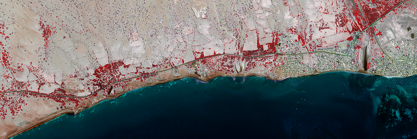 1bis_Supply_Chain_1440x480