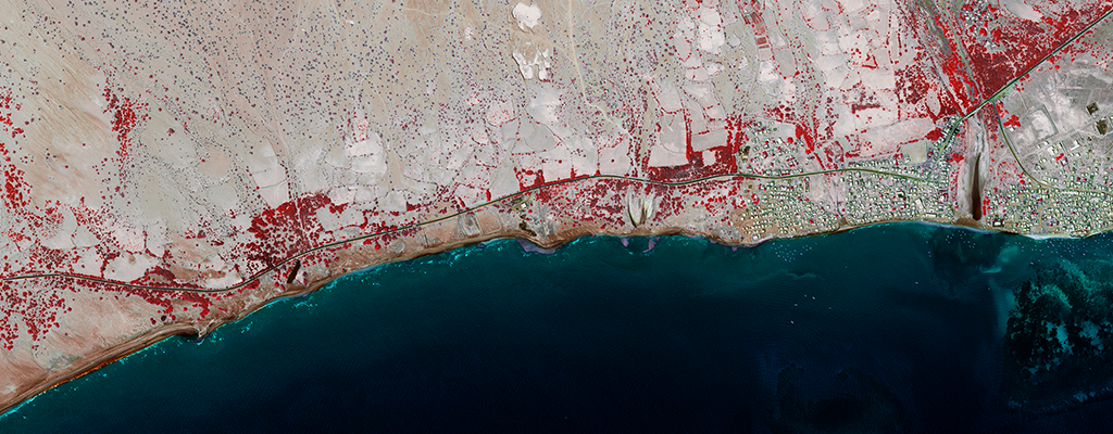 1bis_Supply_Chain_1024x400