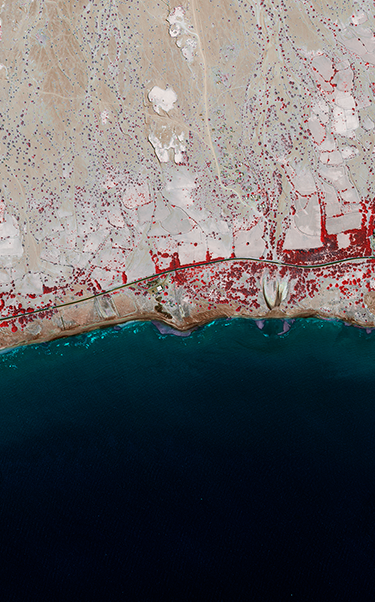 1bis_Supply_Chain_375x602