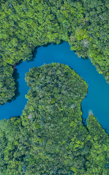 3_Supply_Chain_375x602