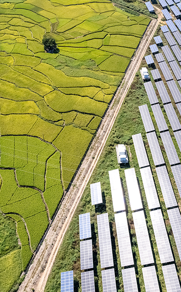 1_Supply_Chain_375x602